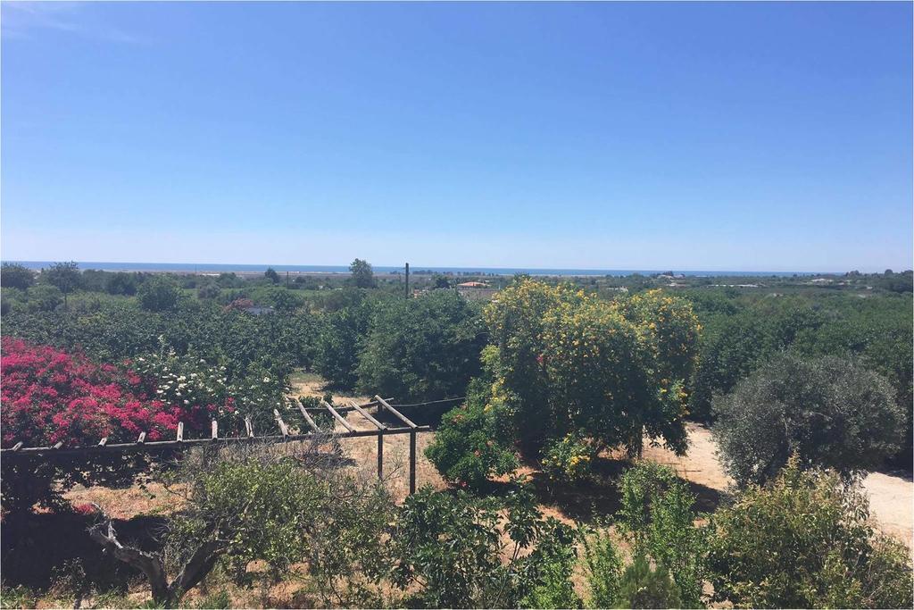 מלון טאווירה Quinta Rosa Branca מראה חיצוני תמונה
